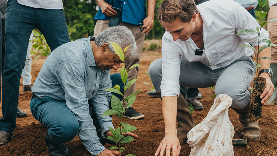 ER Group, formerly ENL Group, launches its new tea venture in Mauritius on 500 arpents